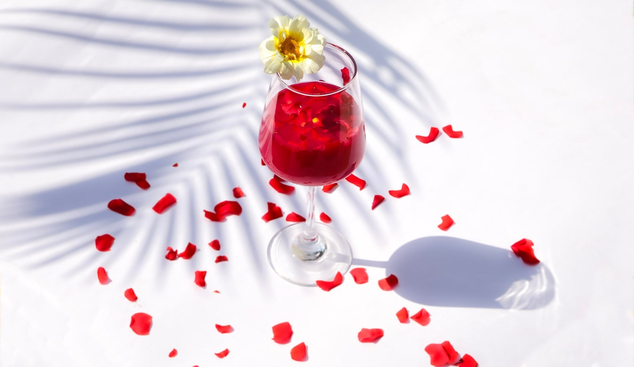 Dining Experience Photography - The Velaar